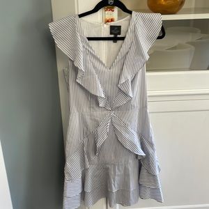 Adrianna Papell Dress